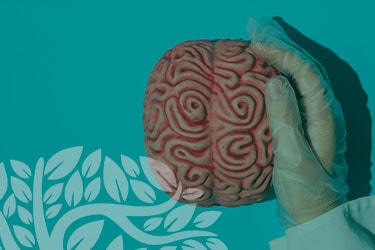 Como manter o cérebro ativo e prevenir demência