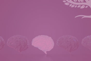 Neurologia Preventiva e Bem‑Estar Cerebral | Dra. Nancy