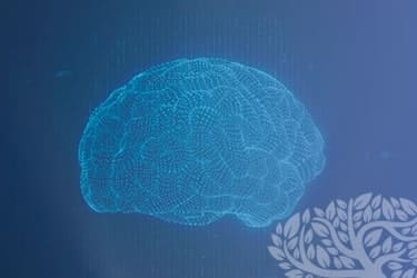Clínica de Neurologia em São Paulo | Dra. Nancy Huang